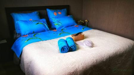 ქირავდება დღიურად