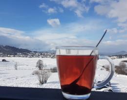 Hotel for rent in Bakuriani, 2 bedroom, with passengers 8/20