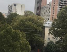 Qiravdeba garemontebuli ketilmwyobili cincadzeze(saburtalo)