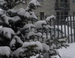 ბინა ბაკურიანში