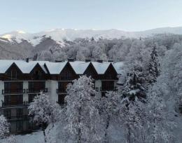 ბინა ბაკურიანის დიდველის რეზიდენციაში