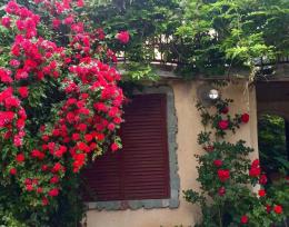 For rent, well-maintained spacious 3 story countryside house