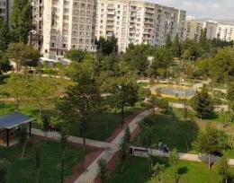 3 ოთახიანი