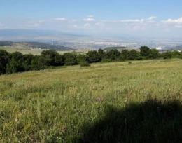იყიდება მიწის ნაკვეთი