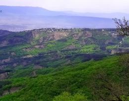 იყიდება მიწის ნაკვეთი ბეთანიაში