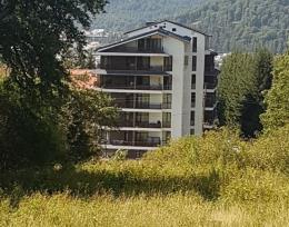 ქირავდება ბინა ტყის პირას.