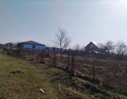 იყიდება მიწის ნაკვეთი