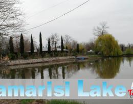 იყიდება მიწის ნაკვეთი!