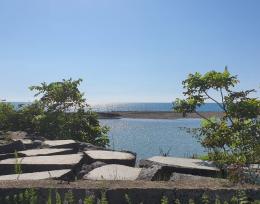 Non-agricultural land plot for sale in Shekvetili!