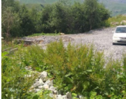 Plot of land for sale in Gudauri!