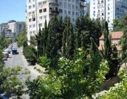 ქირავდება 3 ოთსხისნი ბინა