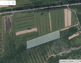 Urgently selling a plot of land near Shekvetili