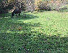 A plot of land in Racha is for sale