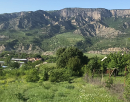 იყიდება მიწის ნაკვეთი ძეგვში