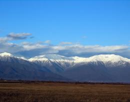 A plot of land near Telavi is for sale