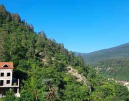 ქირავდება დღიურად