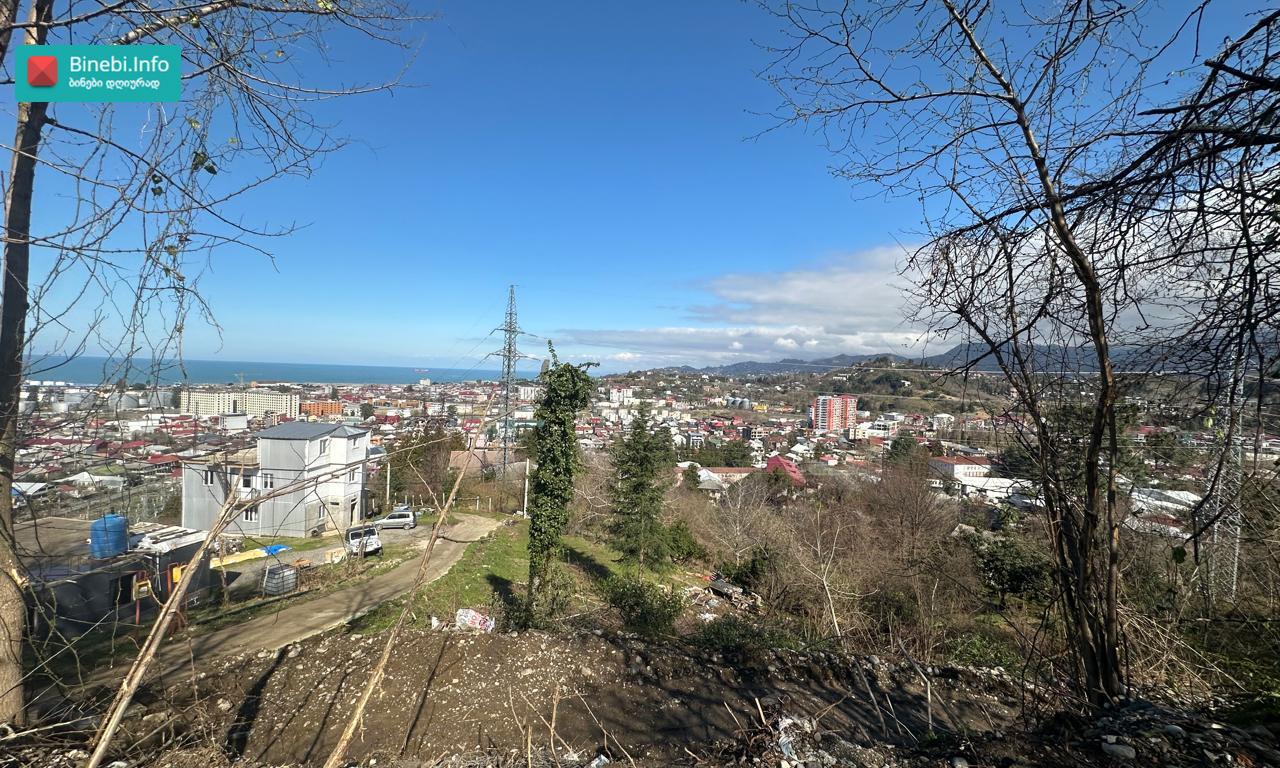 სასწრაფოდ იყიდება
